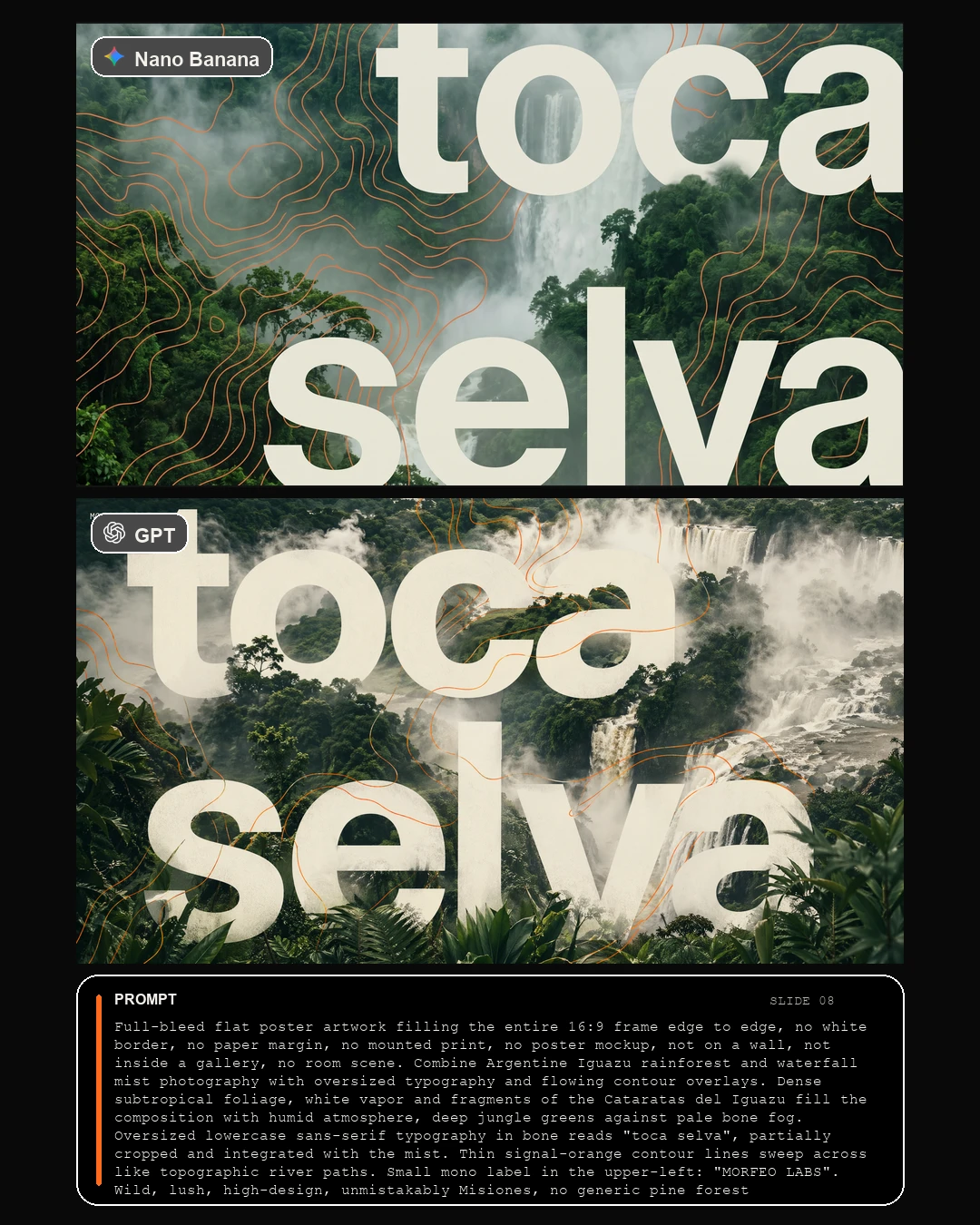 Slide 08 comparativa poster toca selva